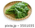 春菊