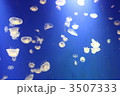 漂う海月