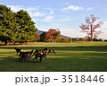 奈良公園の鹿