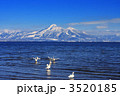 白鳥と磐梯山（猪苗代湖の青松浜）