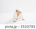 かわいい赤ちゃんのハイハイ