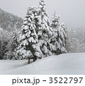 深雪の山
