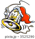 3525290
