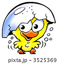 3525369