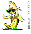 3525524