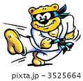 3525664