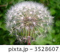 3528607