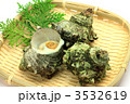 サザエ