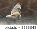 コミミズク　流し撮り