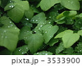 3533900