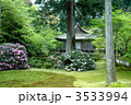 新緑の三千院