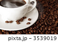 111115_kyl_1231735_l