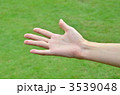 3539048