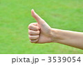 3539054