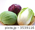 白菜とキャベツ