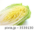 カット白菜