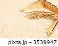 竹みと米
