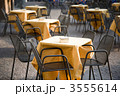 3555614