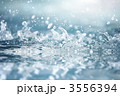 3556394