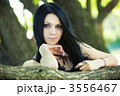 3556467