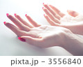 3556840