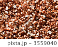 3559040