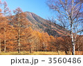 秋の日光　男体山