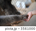 猿