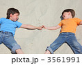 3561991