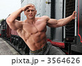 3564626