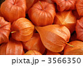 3566350