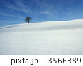 3566389