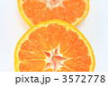 新鮮な蜜柑