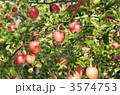 3574753