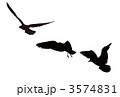 3574831