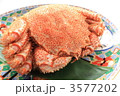 産地直送の北海道毛蟹