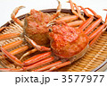 雌ずわいがに