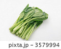 こまつな