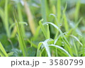 3580799