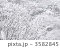 3582845