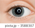 3588307
