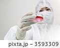 シャーレを確認する研究員