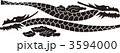 2匹の竜