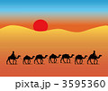 ラクダ