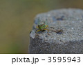 3595943