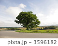 3596182