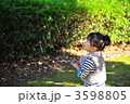 どんぐりの木を見る女の子