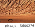 火焔山を行くラクダ（中国新疆ウイグル自治区トルファン）