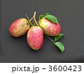 アケビ