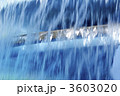 3603020